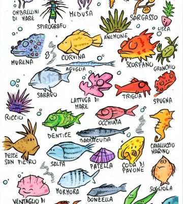 Illustrazione di pesci e organismi marini Illustrazione di pesci e organismi marini per le attività di animazione del Campeggio Stella Mare