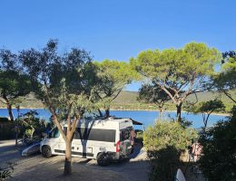 Piazzola per camper tra gli alberi con vista sulla baia di Lacona