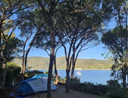 Piazzola per tenda sotto i pini con vista sul mare di Lacona