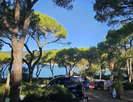 Piazzola per camper immersa nel verde con vista sulla baia di Lacona