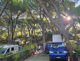 Piazzola ombreggiata per camper sotto i pini del Camping Stella Mare a Lacona